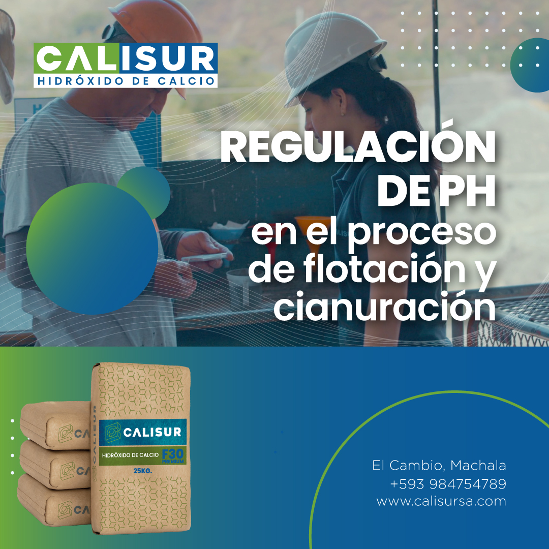 Calisur (Insumos)